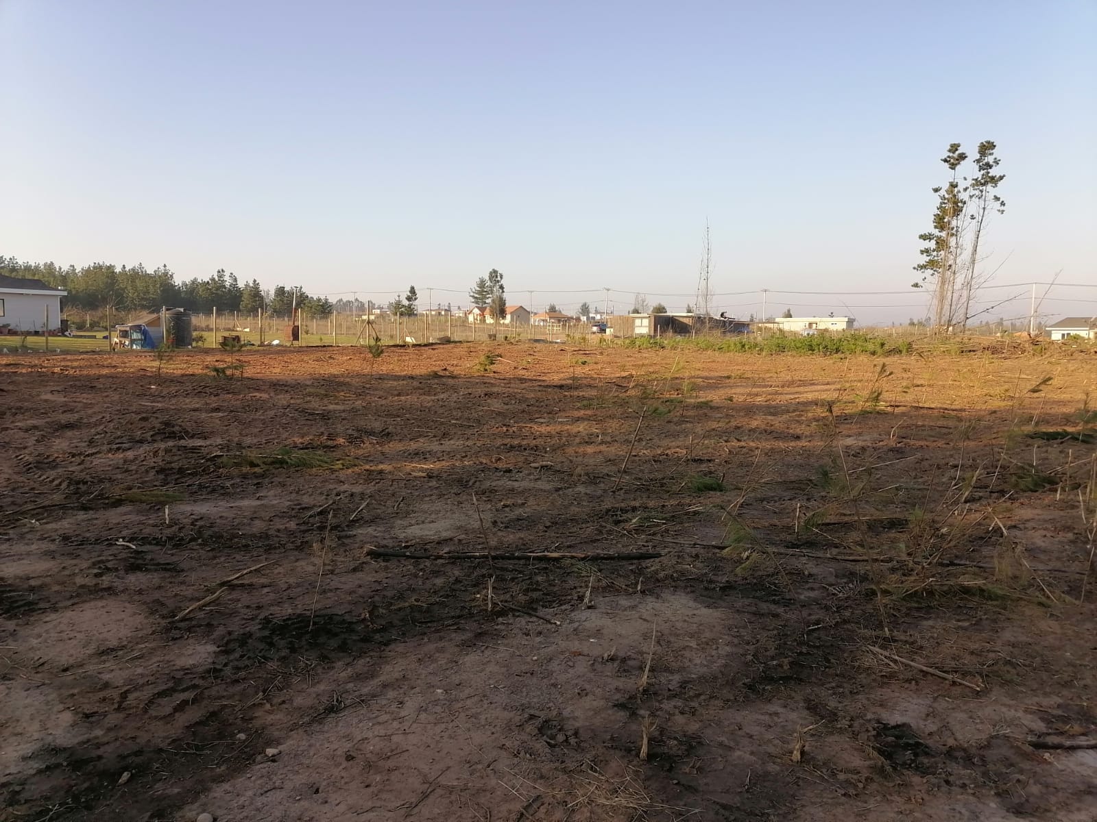 Parcela de 5.250 m² en Condominio Loma Verde, El Quisco