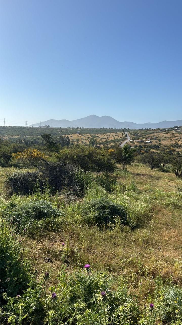 Parcela de 5.004 m² en Los Laureles, Limache