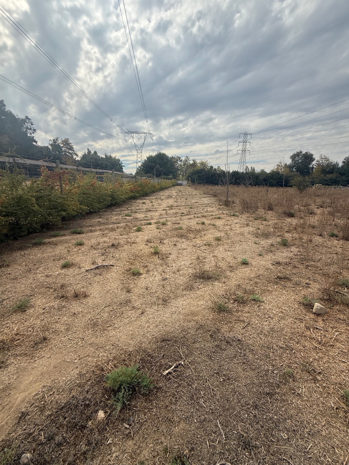 Terreno de 5.200 m² en San Francisco de Mostazal
